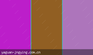 体育焦点